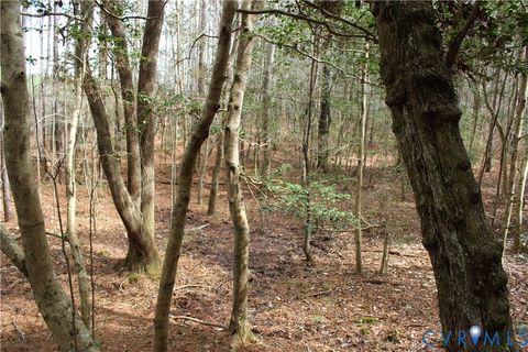 Tiny photo for TBD Greentown Drive, Lawrenceville, VA 23868 (MLS # 2606571)