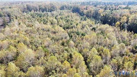 Tiny photo for TBD Oaks Lane, Shacklefords, VA 23156 (MLS # 2529447)