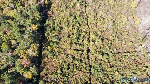 Tiny photo for TBD Oaks Lane, Shacklefords, VA 23156 (MLS # 2529447)
