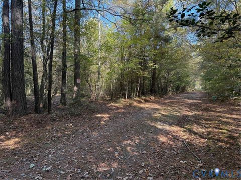 Tiny photo for TBD Oaks Lane, Shacklefords, VA 23156 (MLS # 2529447)