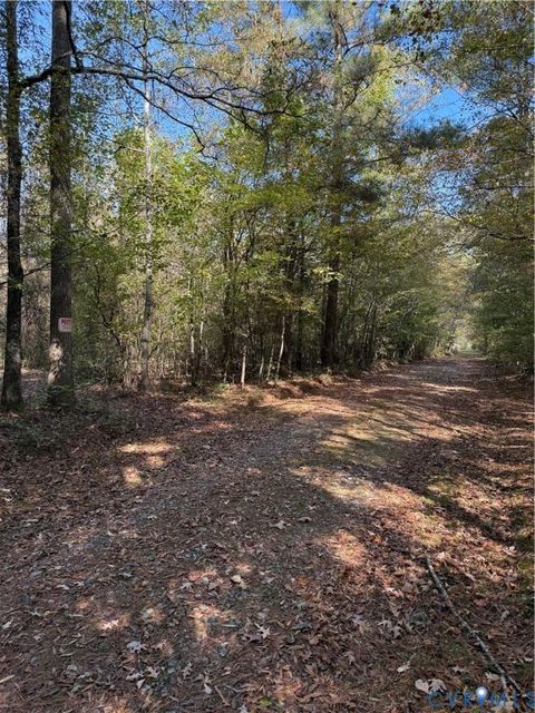 Tiny photo for TBD Oaks Lane, Shacklefords, VA 23156 (MLS # 2529447)