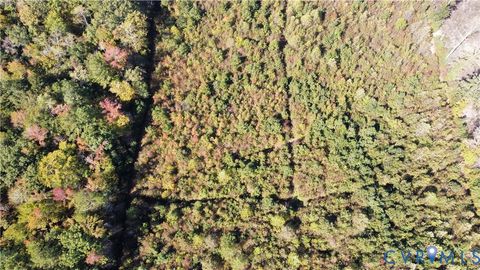 Tiny photo for TBD Oaks Lane, Shacklefords, VA 23156 (MLS # 2529447)