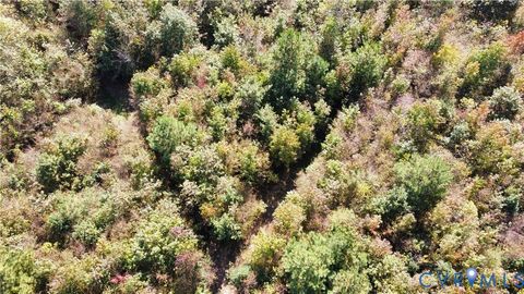 Tiny photo for TBD Oaks Lane, Shacklefords, VA 23156 (MLS # 2529447)