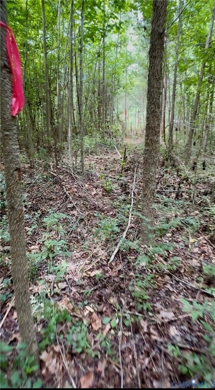 Tiny photo for TBD Broad St Road, Maidens, VA 23102 (MLS # 2621473)