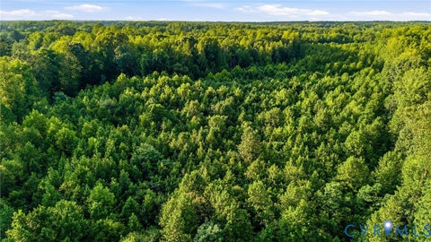 Tiny photo for TBD Broad St Road, Maidens, VA 23102 (MLS # 2621473)