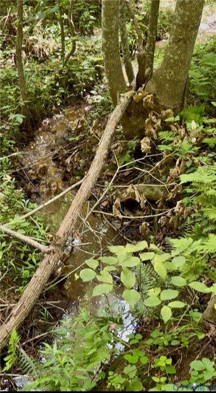 Tiny photo for TBD Broad St Road, Maidens, VA 23102 (MLS # 2621473)