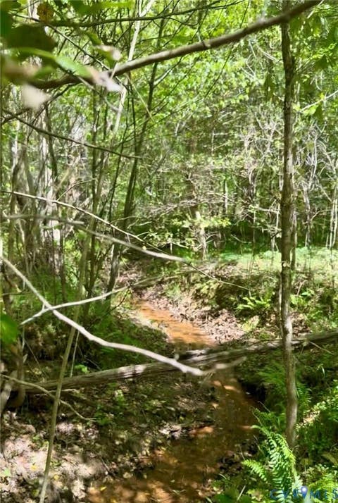 Tiny photo for TBD Broad St Road, Maidens, VA 23102 (MLS # 2621473)