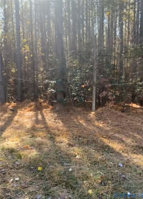 Tiny photo for TBD Wilcox Neck rd, Charles City, VA 23030 (MLS # 2602930)