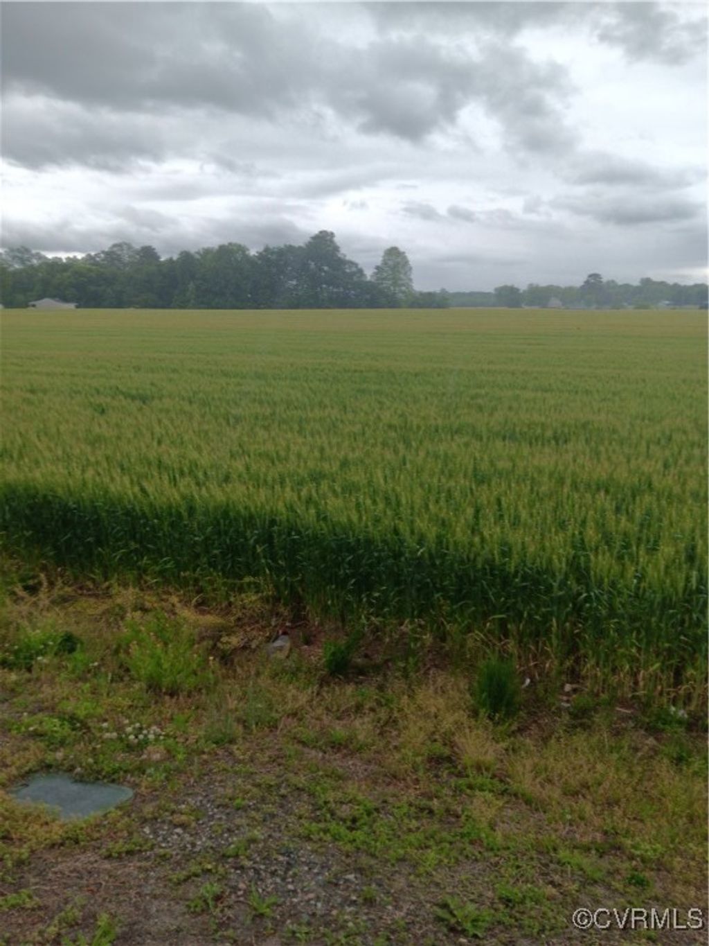 Photo for Kino Road Desha Road Landing, Essex, VA 22454 (MLS # 2513165)