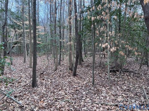 Tiny photo for TBD Clarke Road, New Kent, VA 23089 (MLS # 2608458)