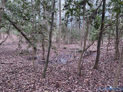 Tiny photo for TBD Clarke Road, New Kent, VA 23089 (MLS # 2608458)