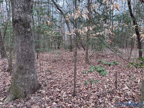Tiny photo for TBD Clarke Road, New Kent, VA 23089 (MLS # 2608458)