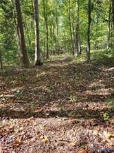 Photo 1 of 2 — 0 Courthouse Road, Dinwiddie, VA 23841