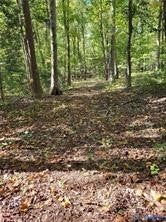 0 COURTHOUSE ROAD, DINWIDDIE, VA 23841 - Image 7ff07cb664e7cbe7fe91d67416dc06ef/3226149371