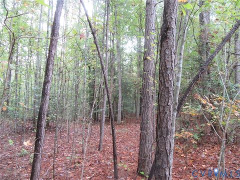 Tiny photo for 0 Chesdin Pointe Dr, Church Road, VA 23833 (MLS # 2528689)