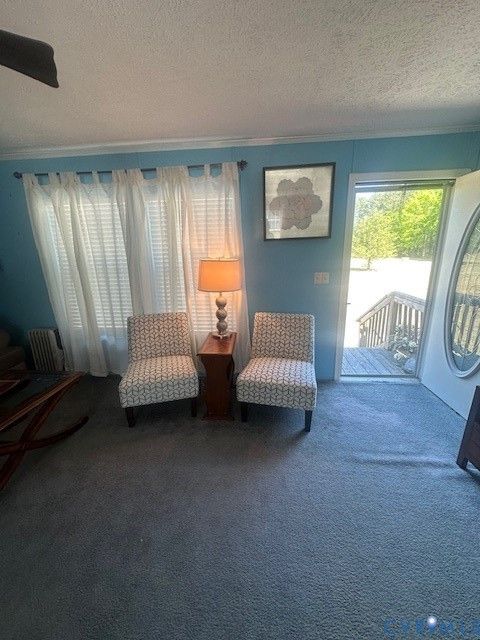 Tiny photo for 16738 Loco School Road, Yale, VA 23897 (MLS # 2611877)