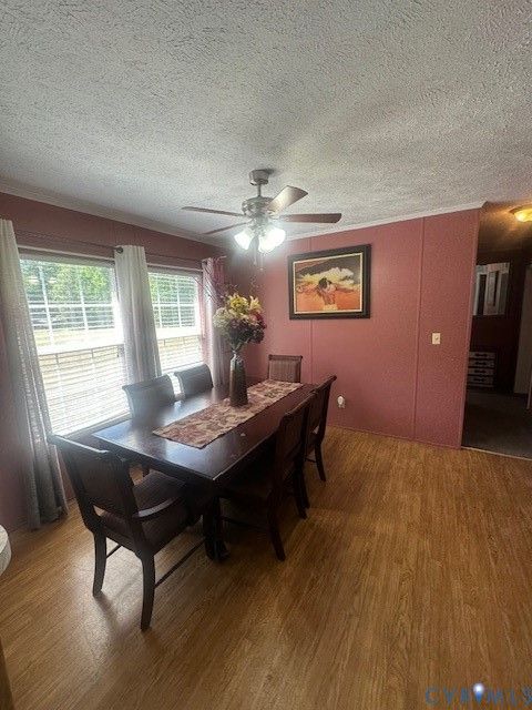 Tiny photo for 16738 Loco School Road, Yale, VA 23897 (MLS # 2611877)