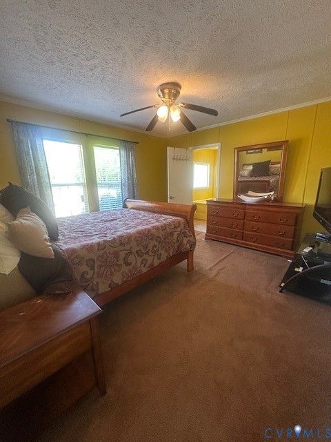 Tiny photo for 16738 Loco School Road, Yale, VA 23897 (MLS # 2611877)