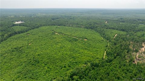 Tiny photo for 143 ACRES OLD PEACH ORCHARD Lane, Meherrin, VA 23954 (MLS # 2517683)
