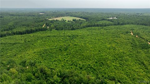 Tiny photo for 143 ACRES OLD PEACH ORCHARD Lane, Meherrin, VA 23954 (MLS # 2517683)