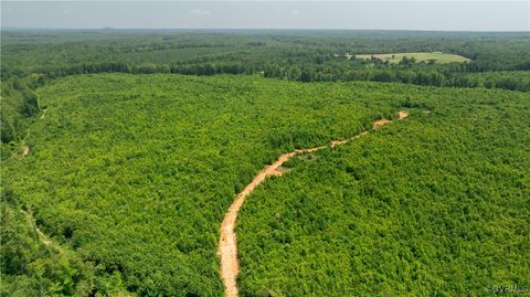 Photo of 143 ACRES OLD PEACH ORCHARD Lane, Meherrin, VA 23954 (MLS # 2517683)