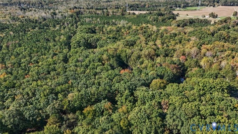 Tiny photo for 15227 Horseshoe Bridge Road, Hanover, VA 23047 (MLS # 2628494)