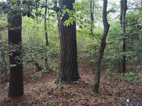 Tiny photo for 19372 Lankford Highway, Cheriton, VA 23310 (MLS # 2613420)