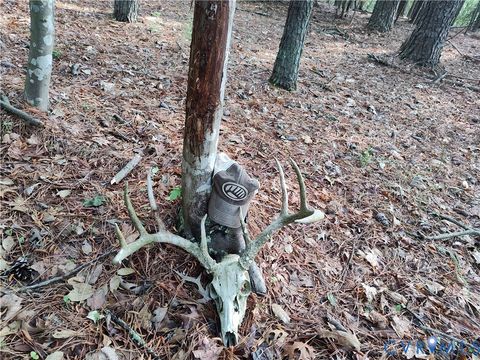 Tiny photo for 19372 Lankford Highway, Cheriton, VA 23310 (MLS # 2613420)