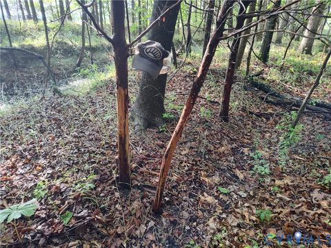 Tiny photo for 19372 Lankford Highway, Cheriton, VA 23310 (MLS # 2613420)