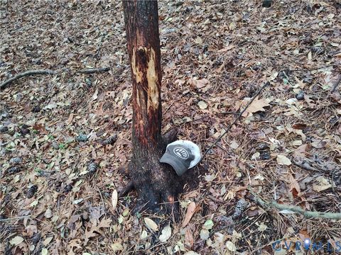 Tiny photo for 19372 Lankford Highway, Cheriton, VA 23310 (MLS # 2613420)
