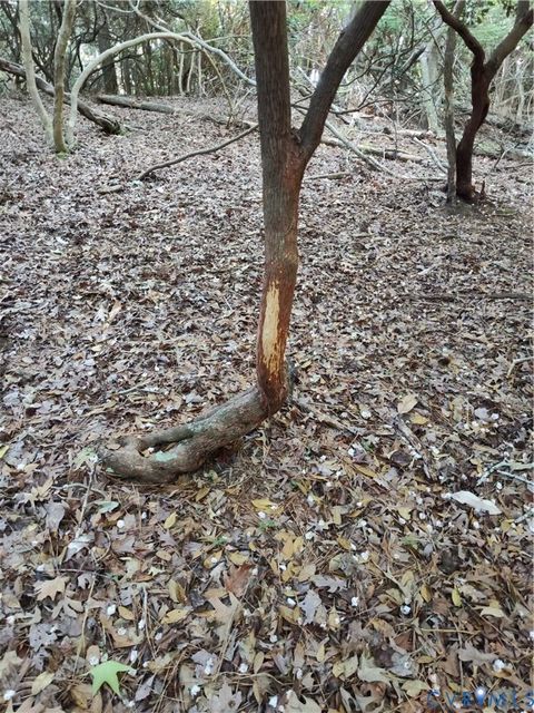 Tiny photo for 19372 Lankford Highway, Cheriton, VA 23310 (MLS # 2613420)