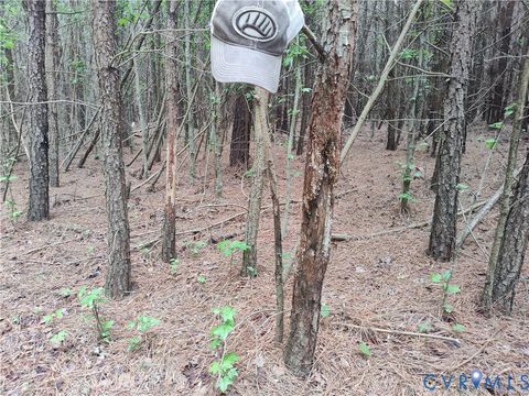 Tiny photo for 19372 Lankford Highway, Cheriton, VA 23310 (MLS # 2613420)