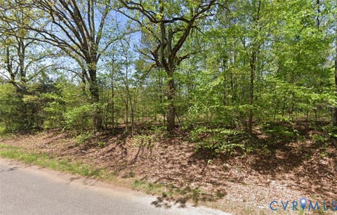 Photo of Lot 4 Forksville Road, Forksville, VA 23950 (MLS # 2621891)