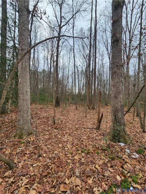 Tiny photo for 15315 Devonwood Road, Montpelier, VA 23192 (MLS # 2533033)