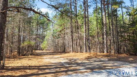 Tiny photo for 14624 Wilkinson Road, DeWitt, VA 23840 (MLS # 2605760)