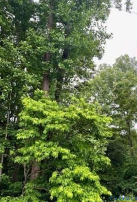 Photo of 0 Spain, Petersburg, VA 23805 (MLS # 2617607)