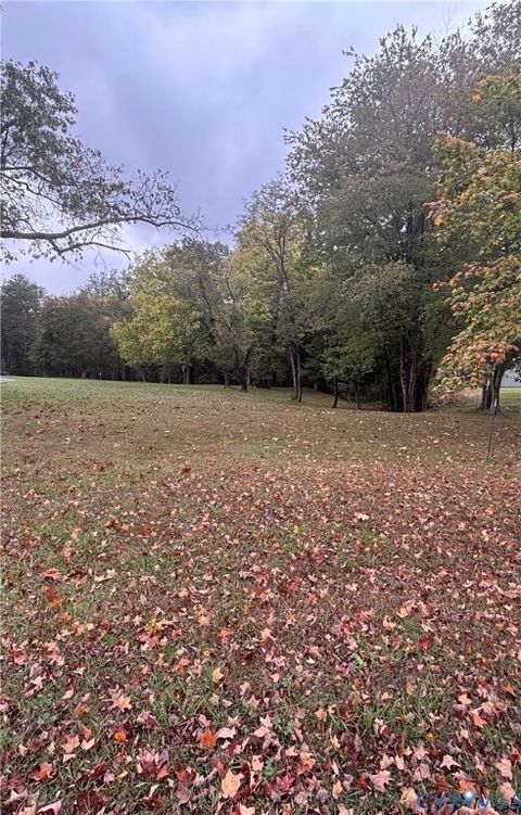 Photo of 0 Broaddus Avenue, Bowling Green, VA 22427 (MLS # 2528856)