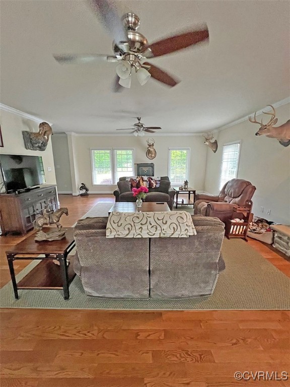 132 Forest View Road