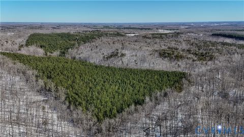 Tiny photo for 5339 Deer Run Road, Farmville, VA 23901 (MLS # 2602727)