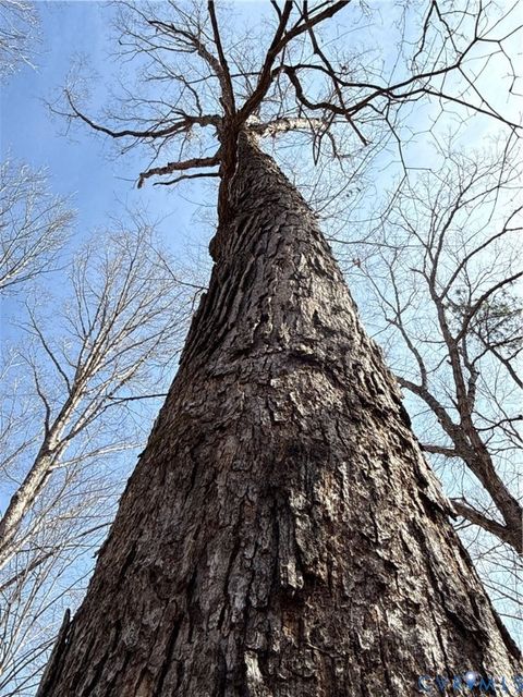 Tiny photo for 00 Beaver Creek Drive, Montpelier, VA 23192 (MLS # 2607652)