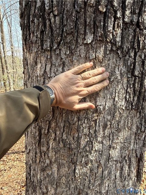 Tiny photo for 00 Beaver Creek Drive, Montpelier, VA 23192 (MLS # 2607652)