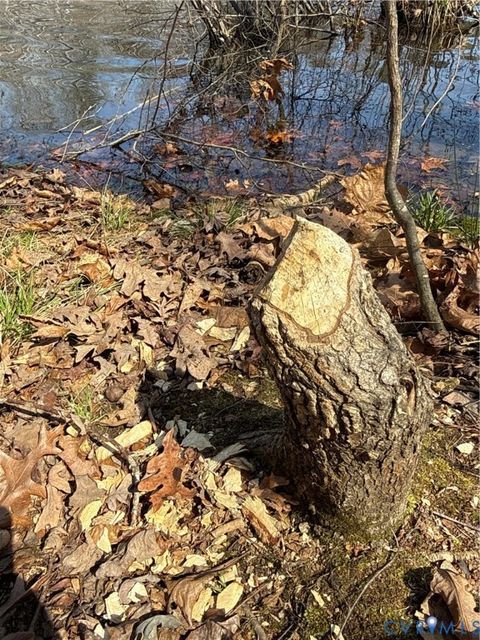 Tiny photo for 00 Beaver Creek Drive, Montpelier, VA 23192 (MLS # 2607652)