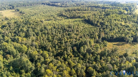 Tiny photo for Lot 27-22 Jones Irby Road, Nottoway, VA 23955 (MLS # 2625034)