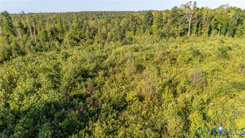 Tiny photo for Lot 27-22 Jones Irby Road, Nottoway, VA 23955 (MLS # 2625034)