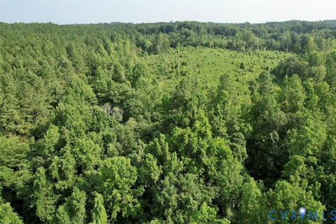Tiny photo for 5211 Indian Oak Road, Crewe, VA 23930 (MLS # 2620476)