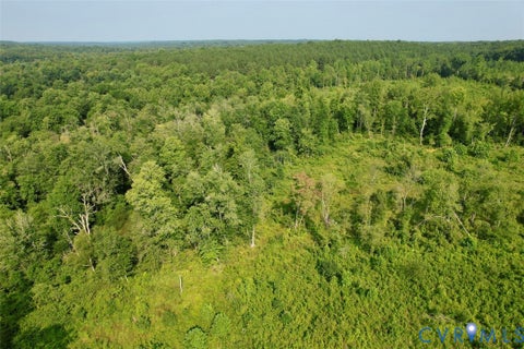 Tiny photo for 5211 Indian Oak Road, Crewe, VA 23930 (MLS # 2620476)