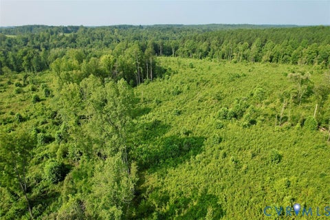 Tiny photo for 5211 Indian Oak Road, Crewe, VA 23930 (MLS # 2620476)