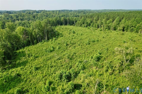 Tiny photo for 5211 Indian Oak Road, Crewe, VA 23930 (MLS # 2620476)