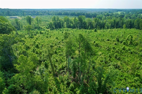 Tiny photo for 5211 Indian Oak Road, Crewe, VA 23930 (MLS # 2620476)