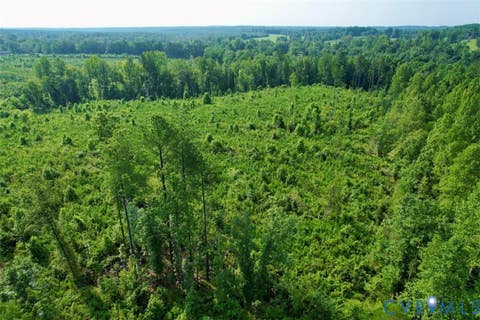 Tiny photo for 5211 Indian Oak Road, Crewe, VA 23930 (MLS # 2620476)